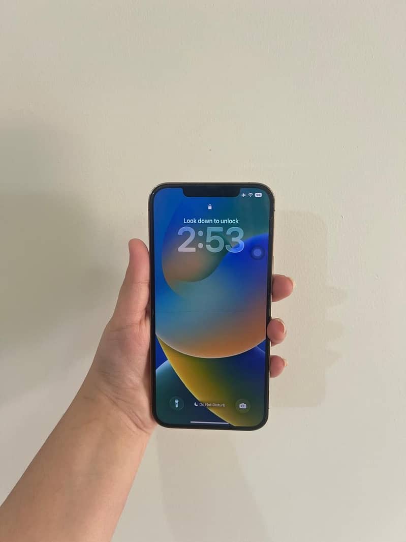 Apple iPhone 12 Pro Max 6