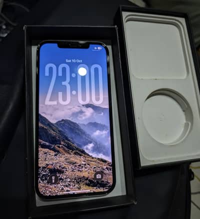 Apple iPhone 12 Pro Max Factory