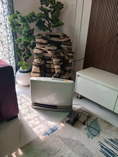 Rinnai Dual function (Gas + Electric) Heater