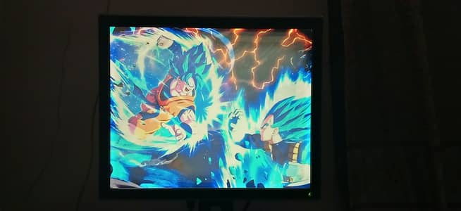 DELL 19inch 1280x1024 (720p) 75Hz screen