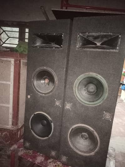 Two big speakers and one mono amplifier
