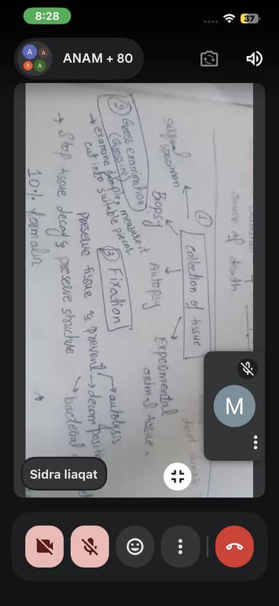I'm a tutor ,qualification undergraduate