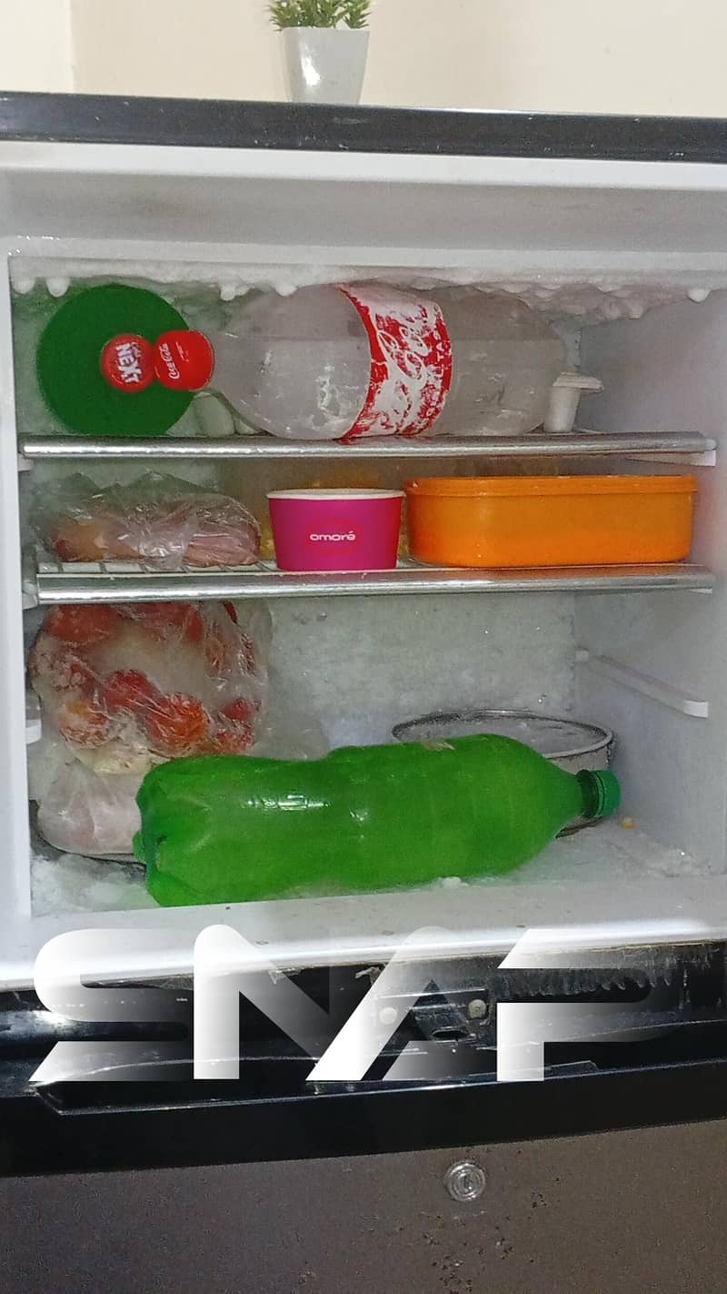 orient fridge 1