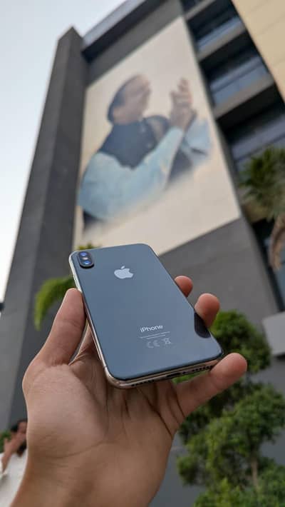 Apple iPhone X