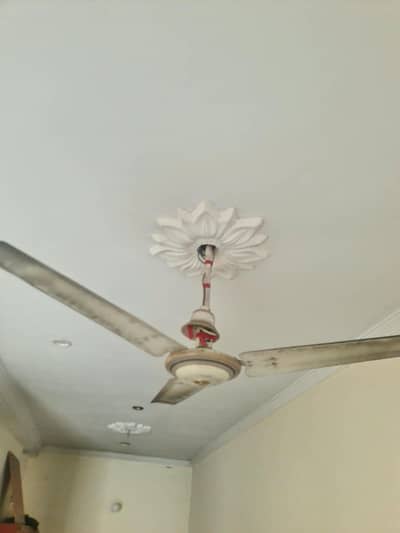 ceiling fan