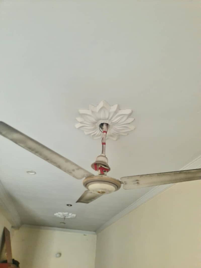 ceiling fan 0