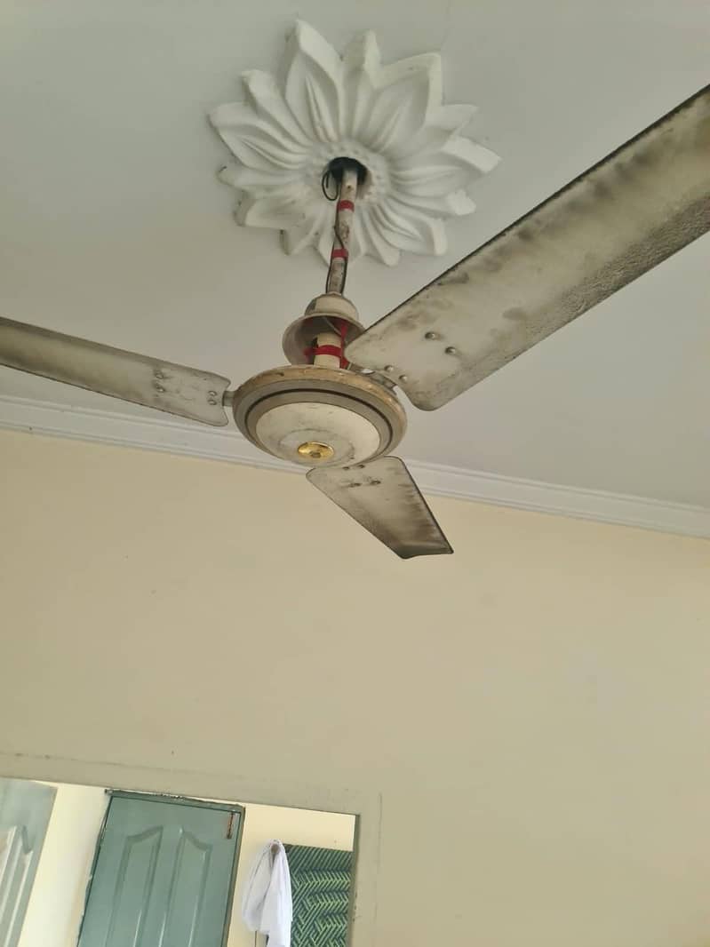 ceiling fan 1