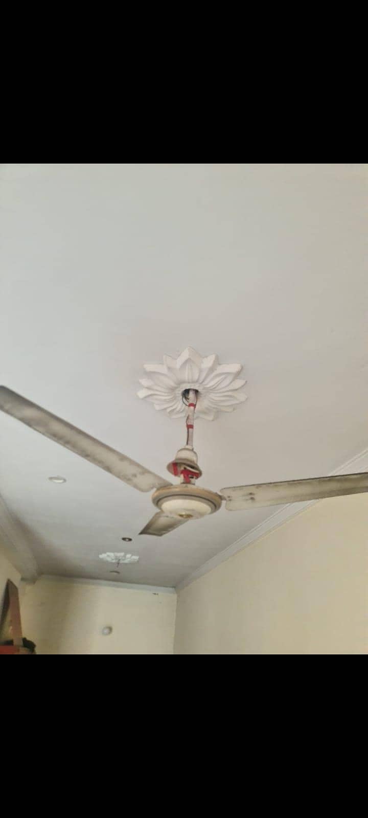 ceiling fan 3