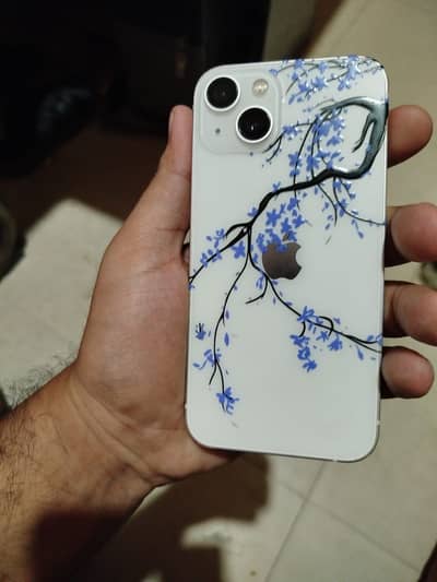 iPhone 13 dual pta proved physical + esim