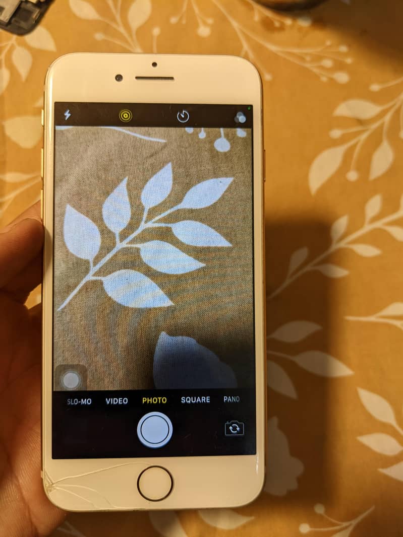 Apple iPhone 8 9