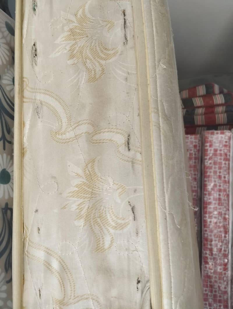 spring singal foam 2