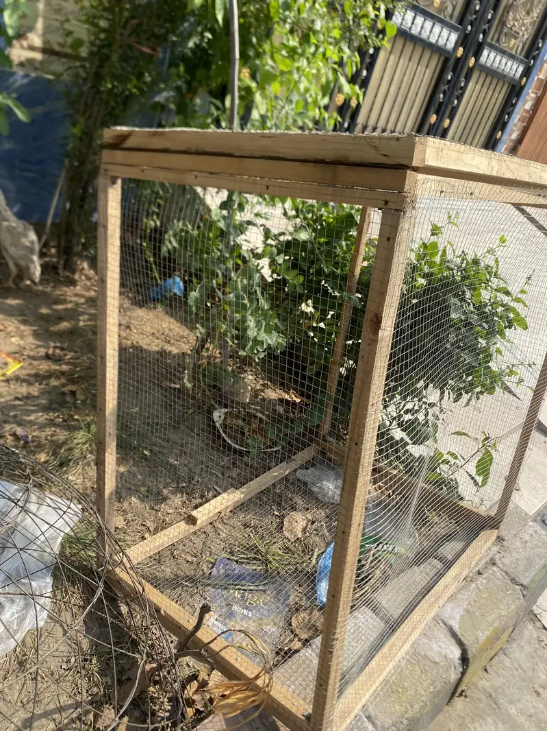 Hen 2 primium cage new — photo 3