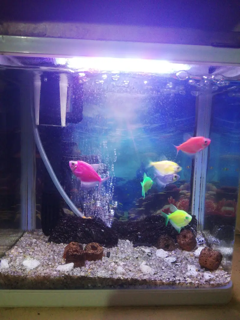 3D Aquarium