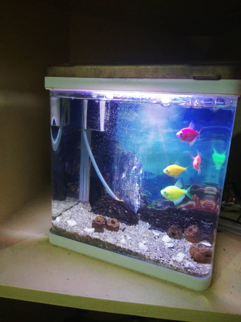 3D Aquarium 2