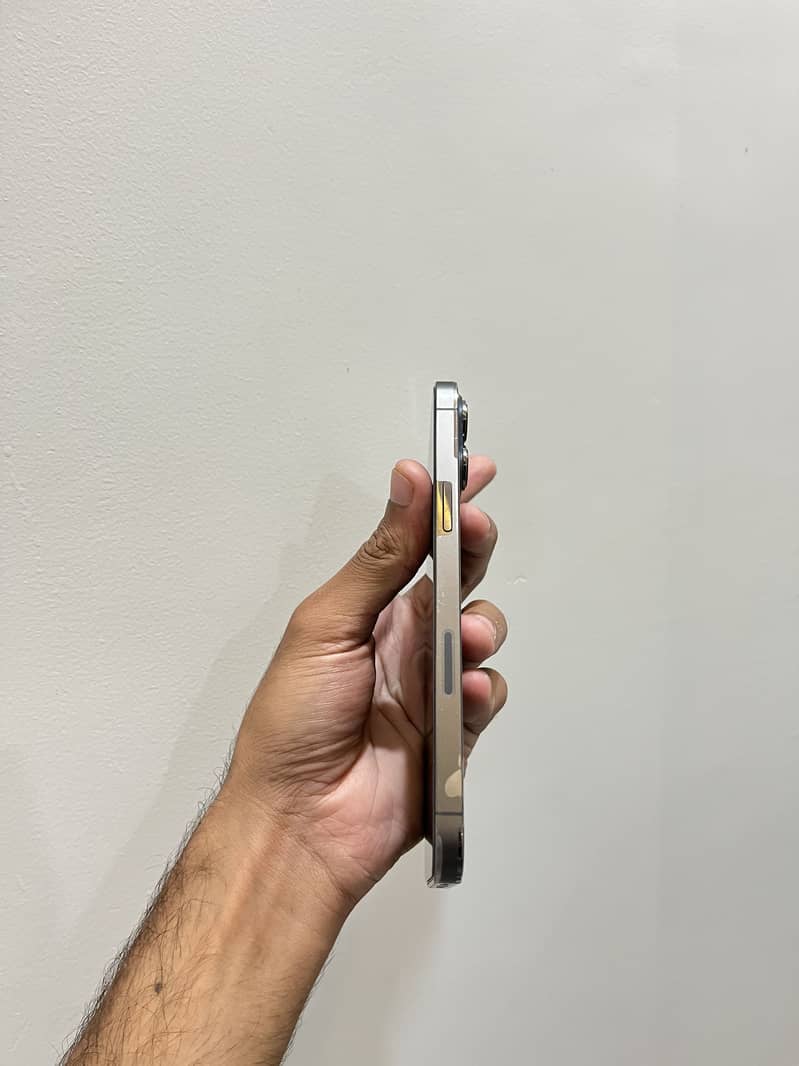 Apple iPhone 13 Pro Max 1
