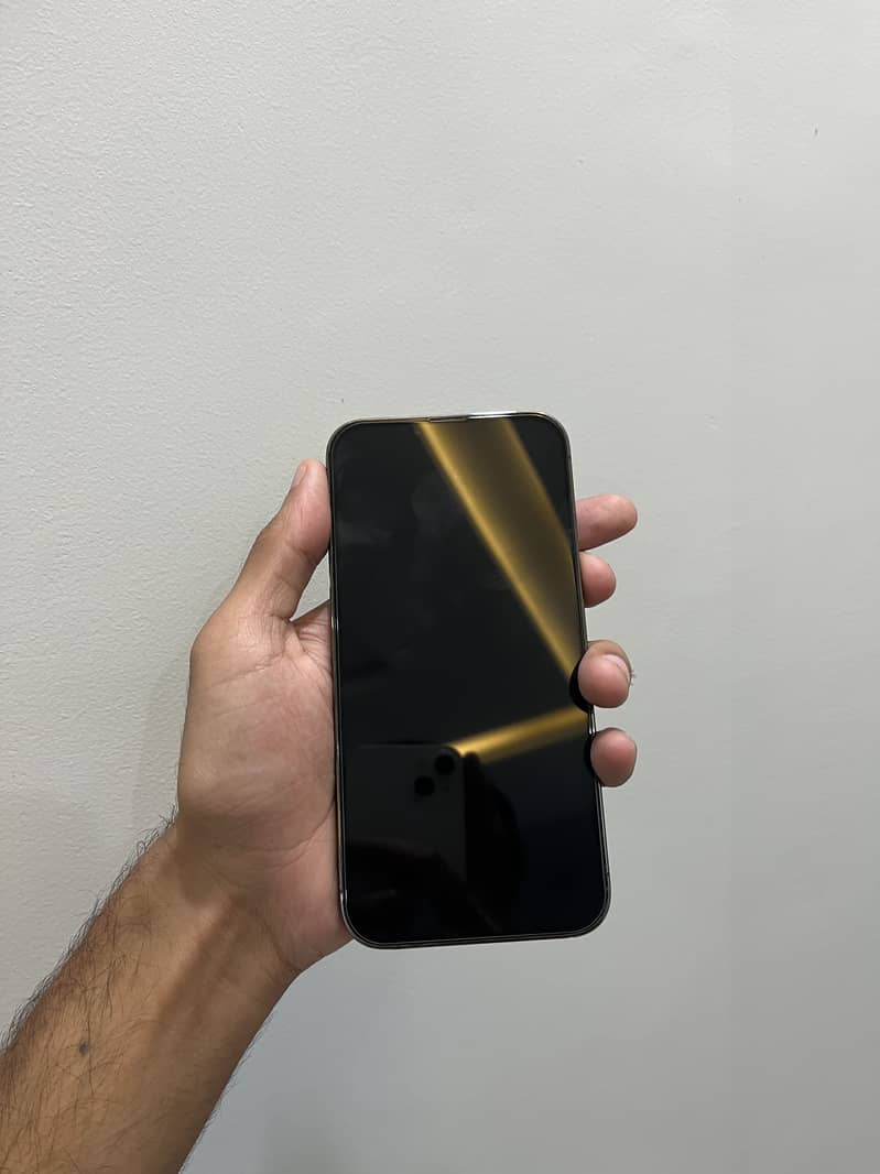 Apple iPhone 13 Pro Max 2
