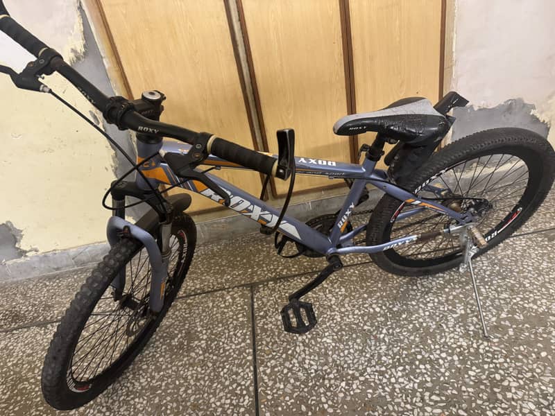 Roxy mountain bycycles 0