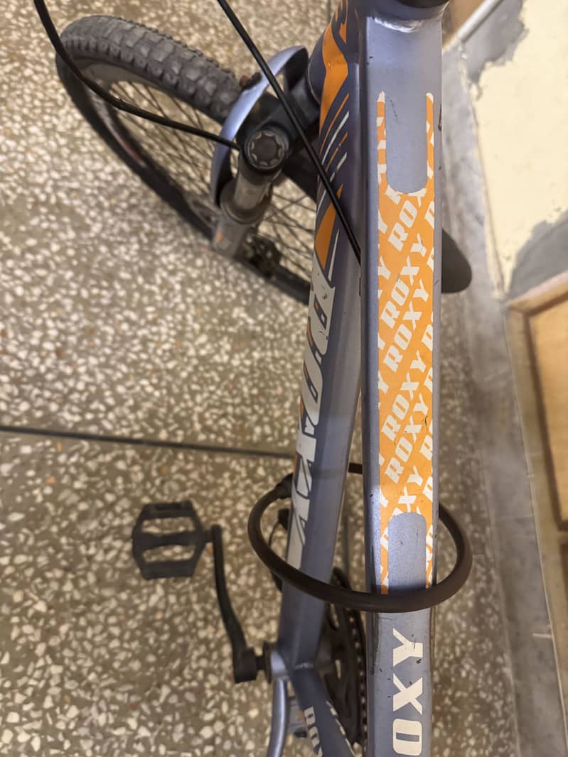 Roxy mountain bycycles 2