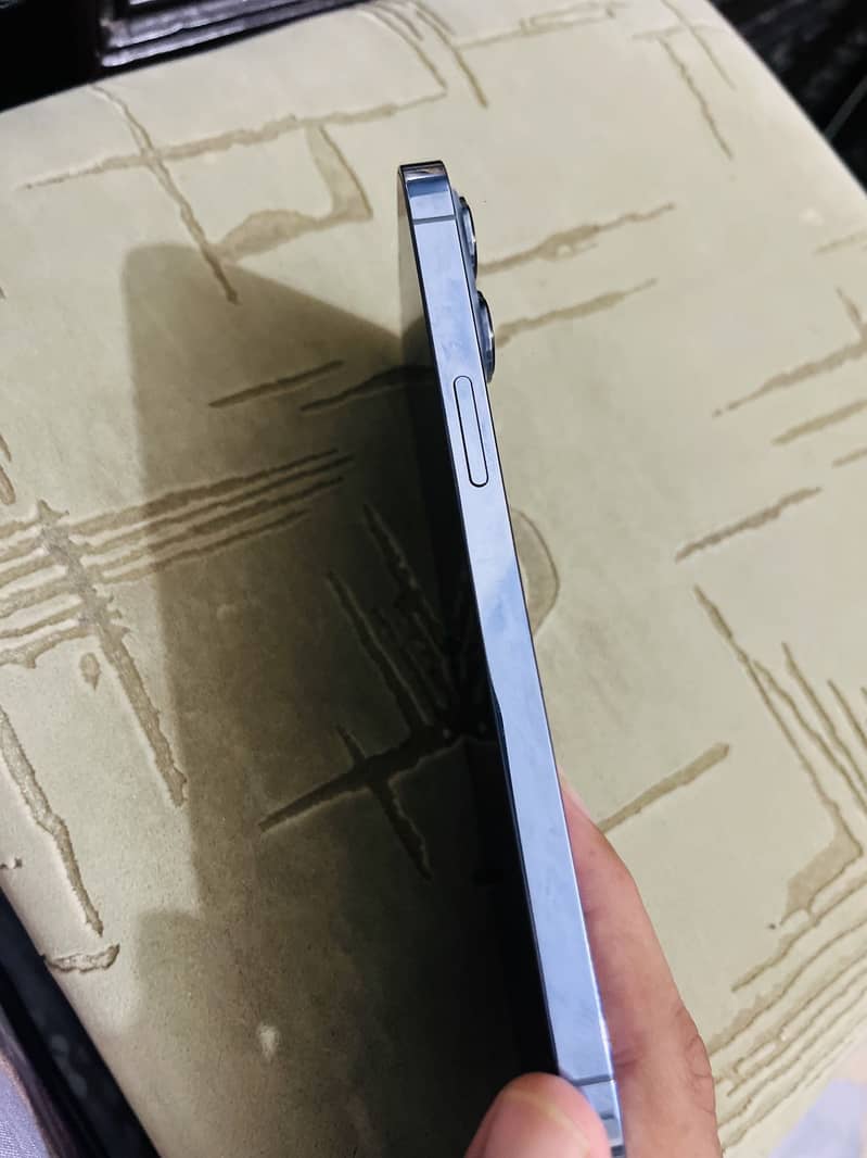 Iphone 13 Pro Max 1