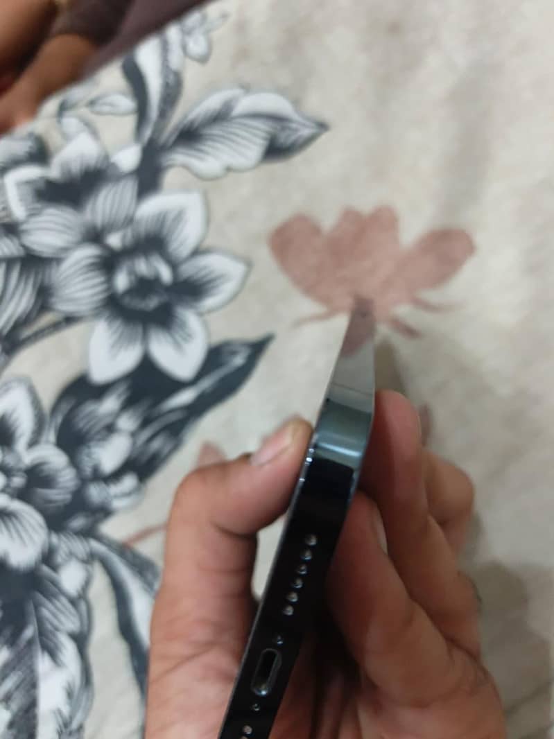 Apple iPhone 12 Pro Max 1
