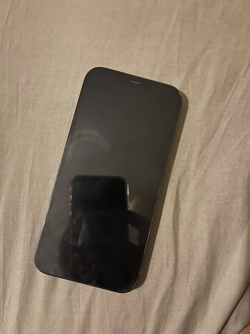 Apple iPhone 12 Pro Max 1