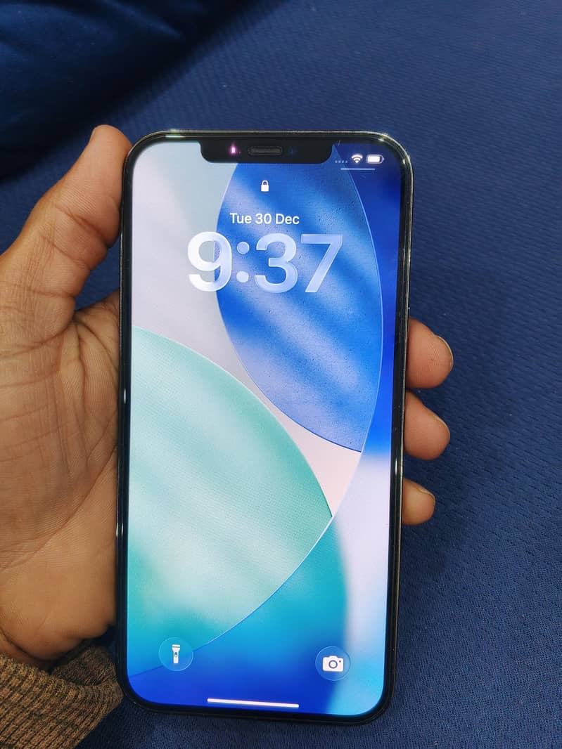 Apple iPhone 12 Pro Max 1