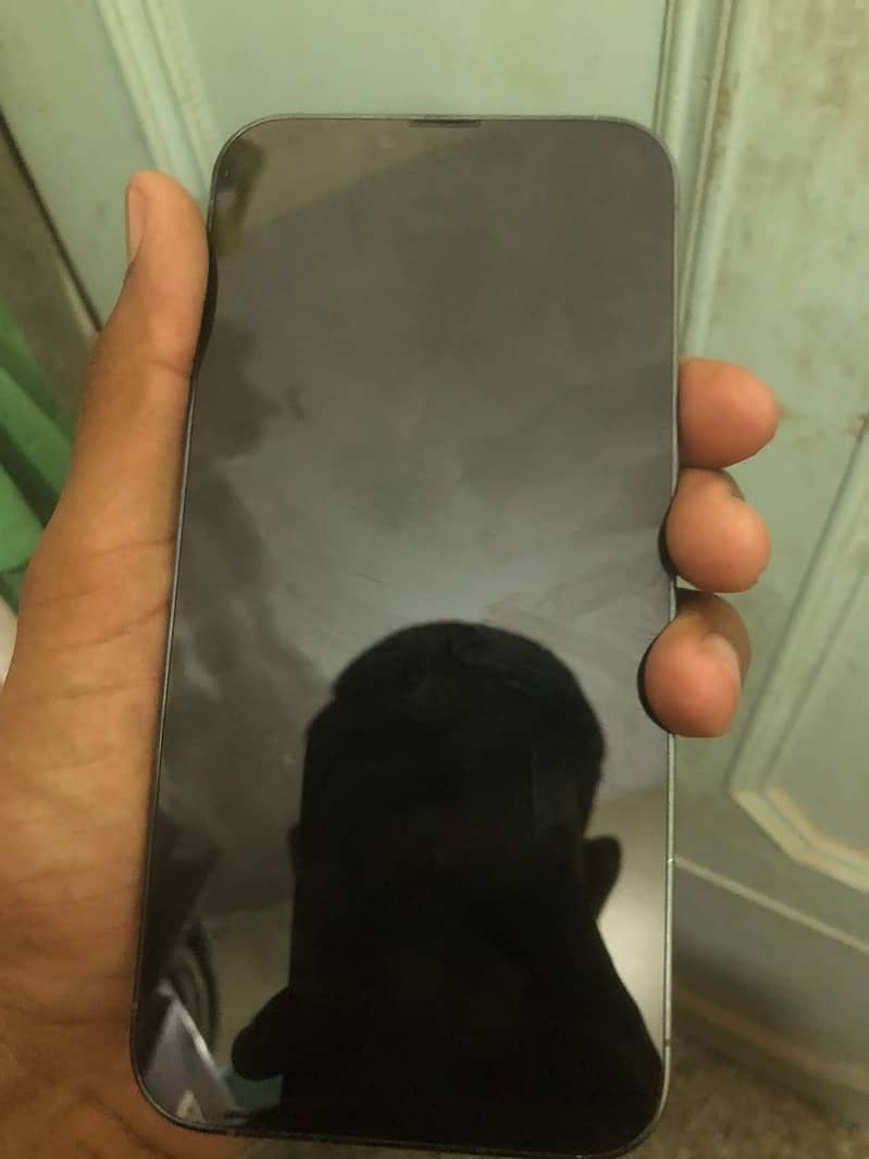 Apple iPhone 13 Pro Max 3