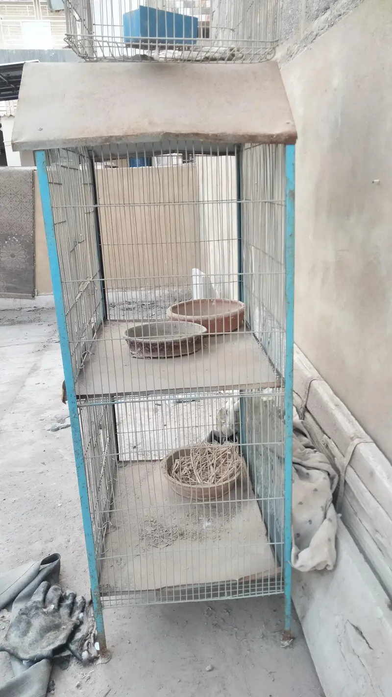 cage for all birds hen, pigeons parrots love birds