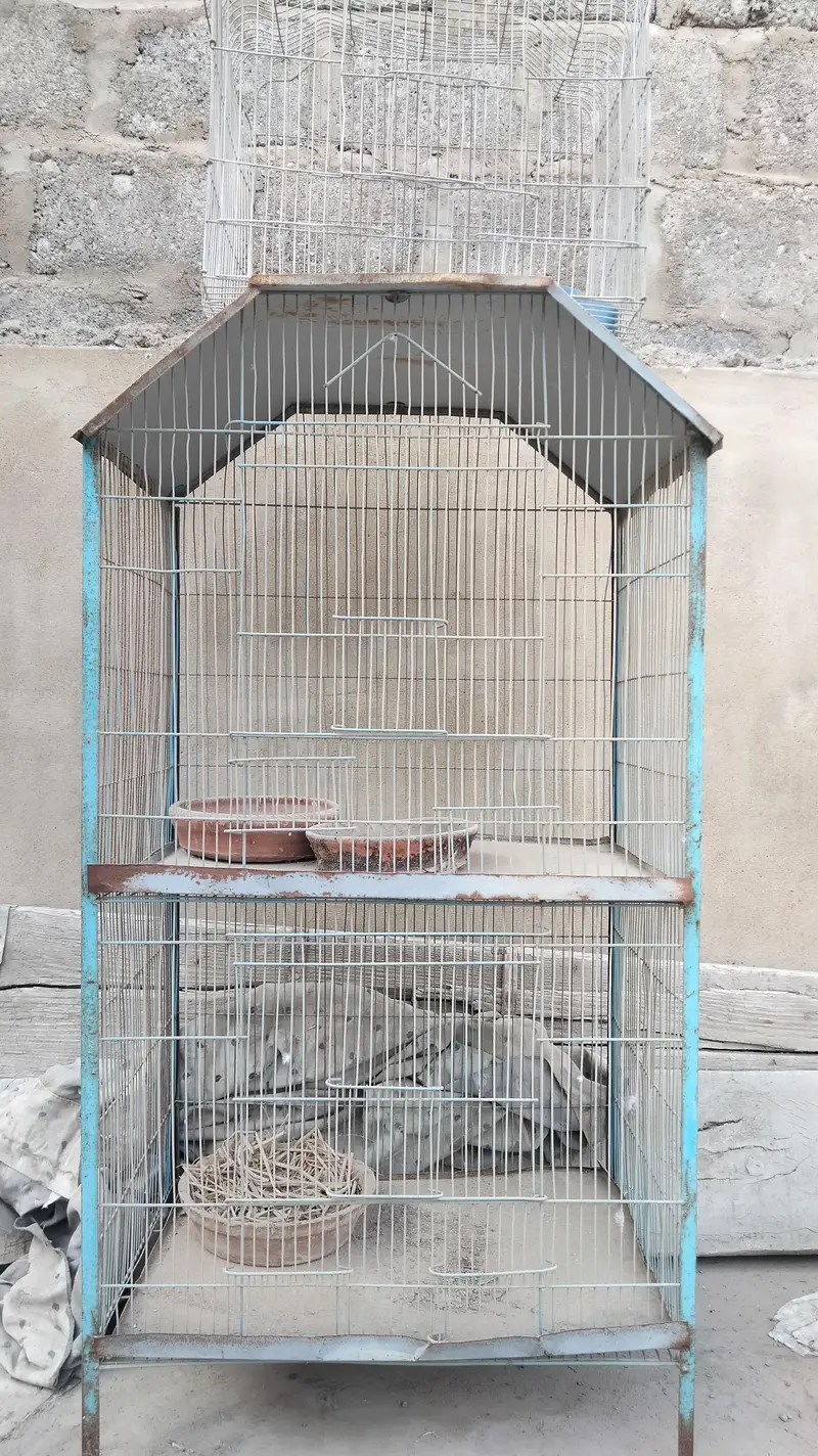 cage for all birds hen, pigeons parrots love birds — photo 2