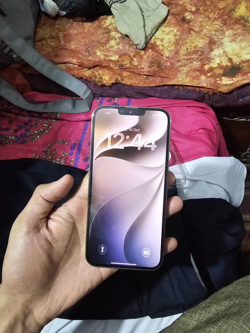 Apple iPhone 13 Pro Max 1