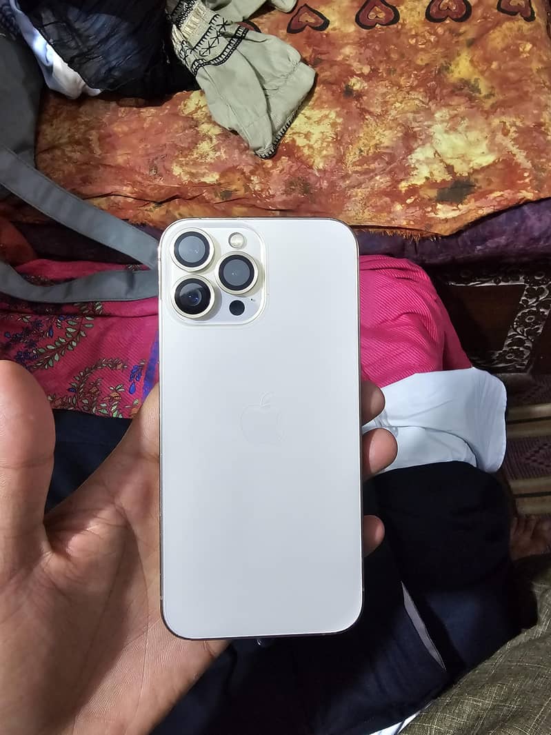 Apple iPhone 13 Pro Max 9