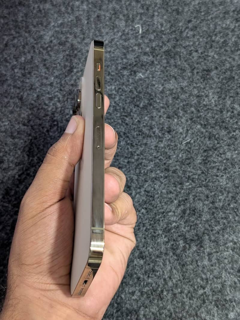 Apple iPhone 14 Pro Max 1