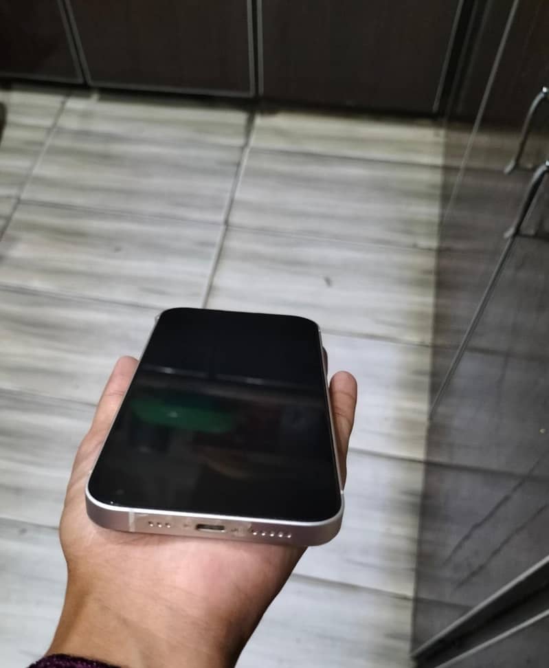 Apple iPhone 13 0