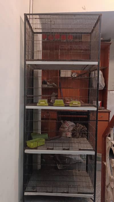 Cage 4 portion
