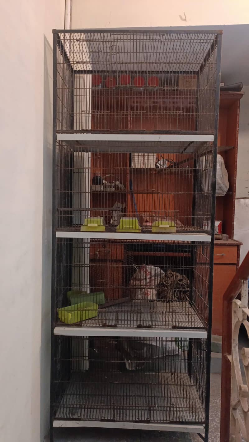 Exhibition pair 4
