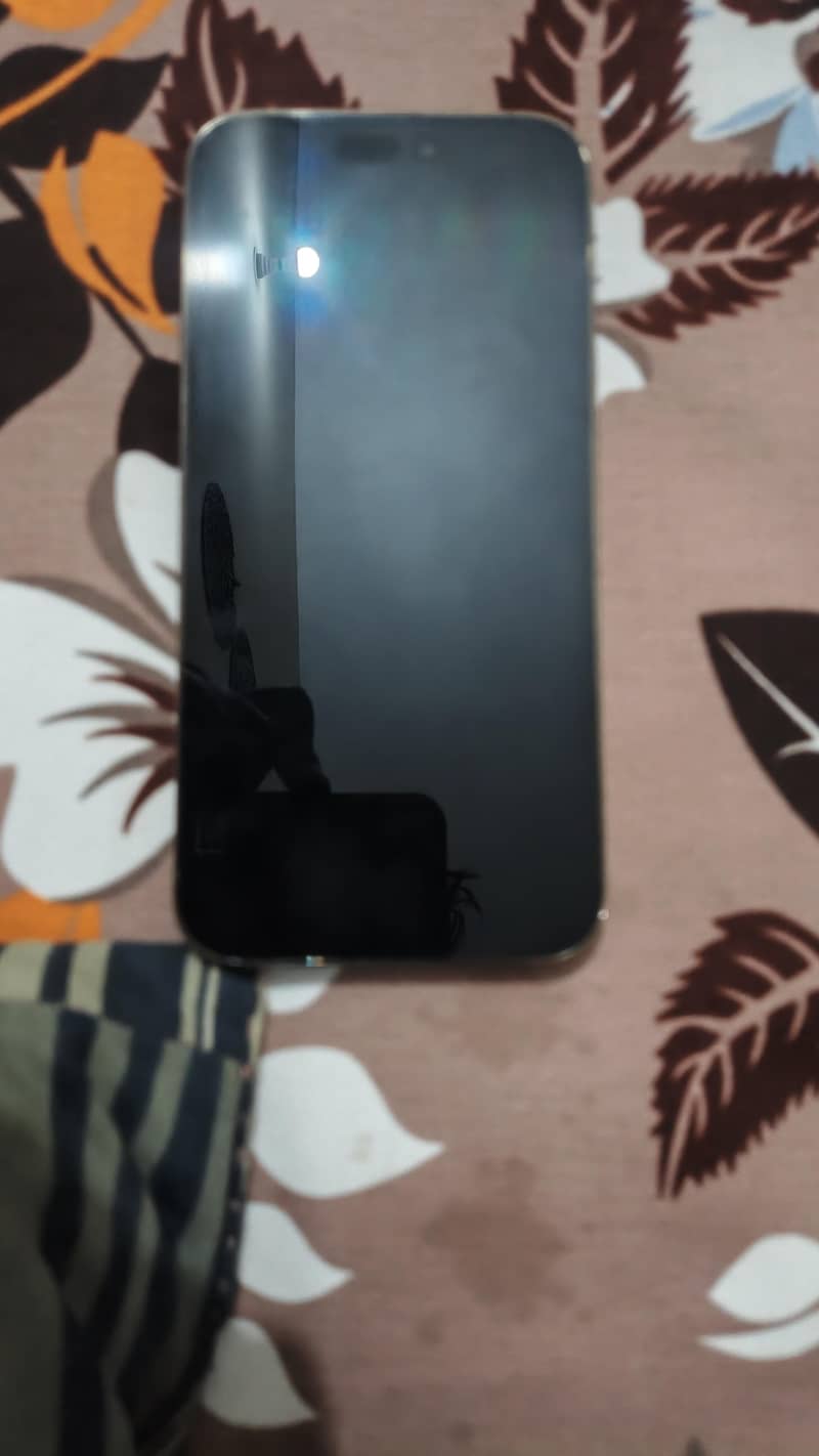 Apple iPhone 14 Pro Max 2