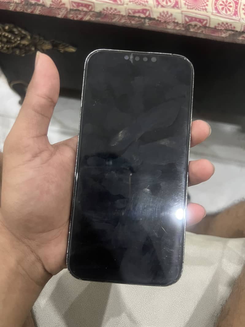 Apple iPhone 13 Pro Max 1