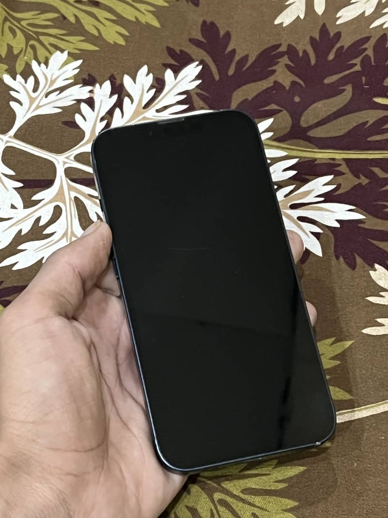 Apple iPhone 13 1