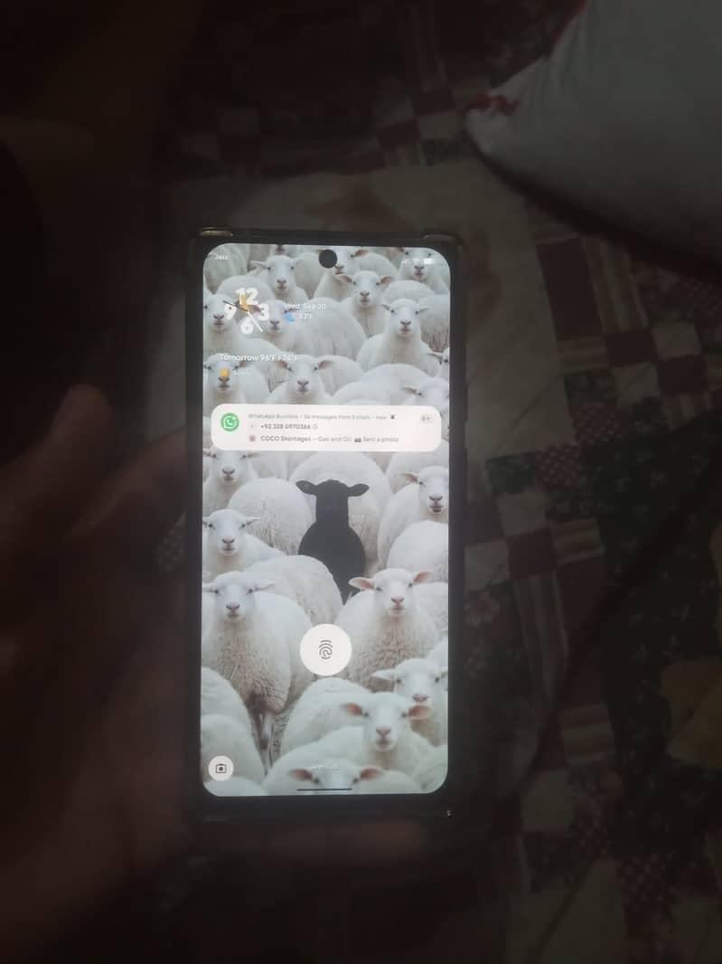 Google Pixel 6 1