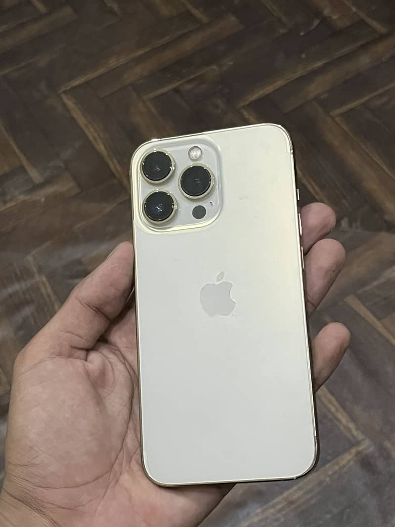 Apple iPhone 13 Pro 1