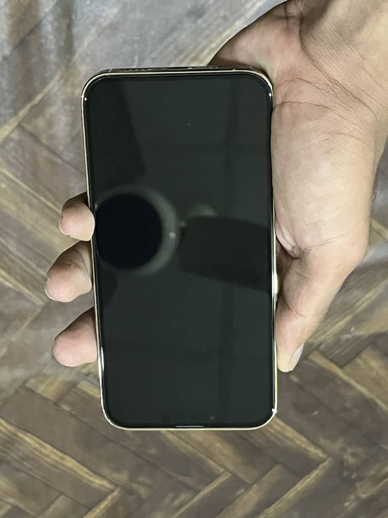 Apple iPhone 13 Pro 2