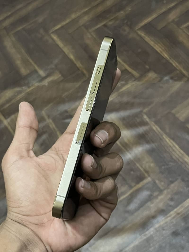 Apple iPhone 13 Pro 6