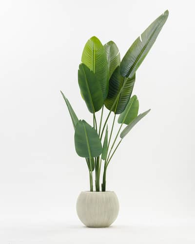 We Deal in Artificial Plants, Pots, Planters, Banana Tree, Bails