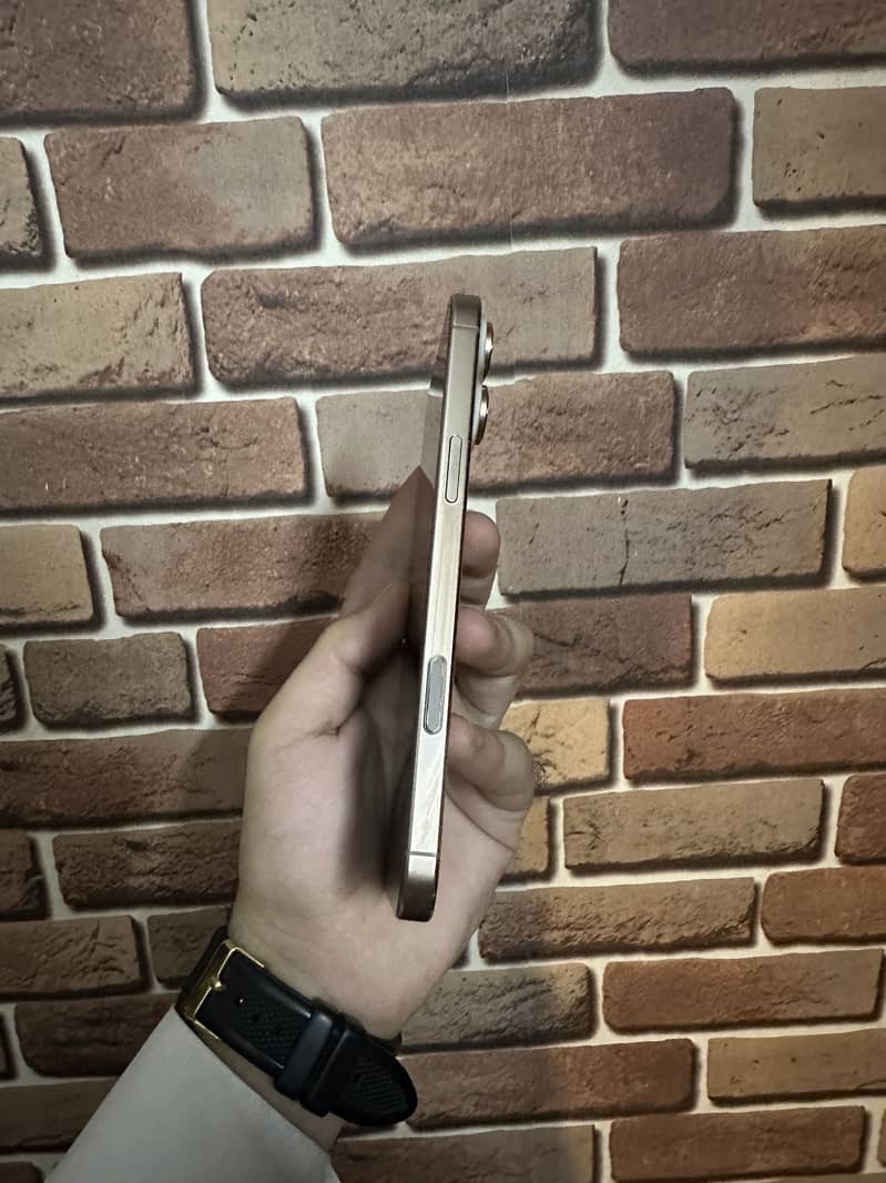 Apple iPhone 16 Pro Max 2