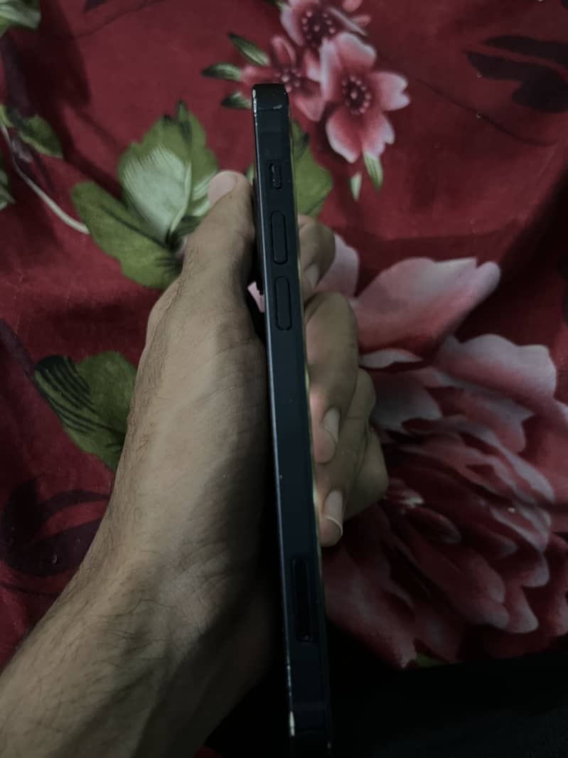 Apple iPhone 12 0