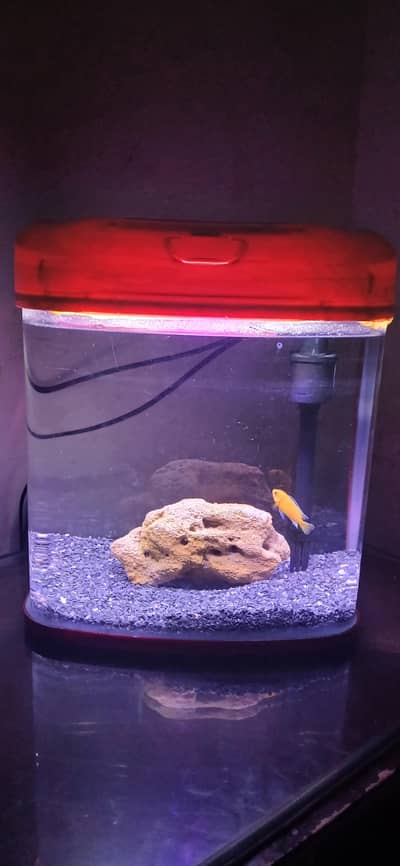 RS 300a aquarium like new Chinese