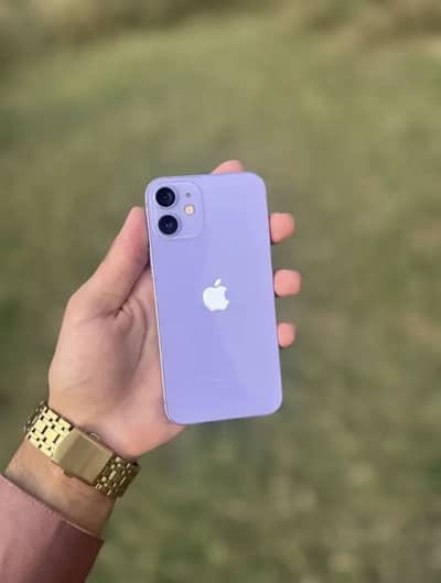 Apple iPhone 12 in lush condition for sell