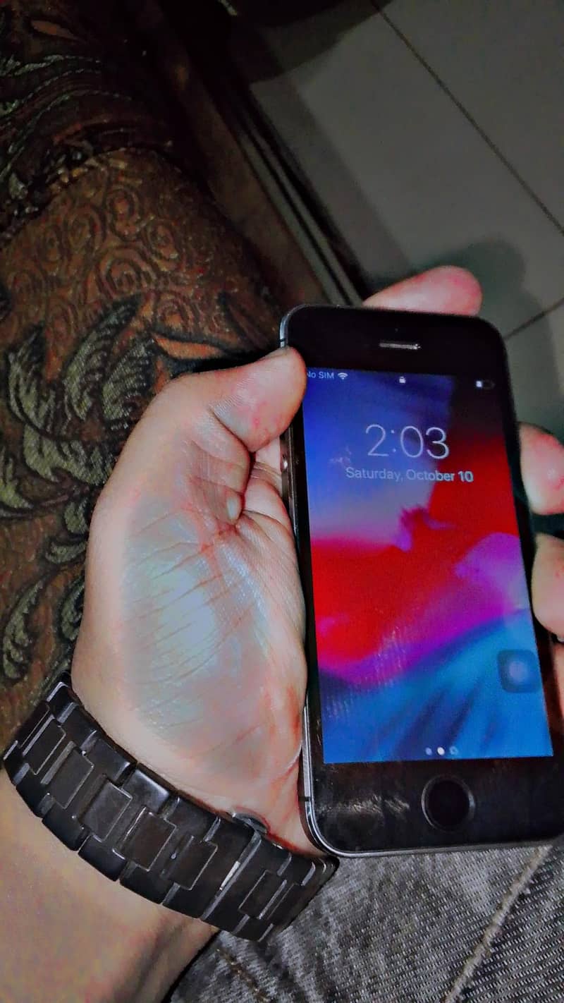 Apple iPhone 5s 0