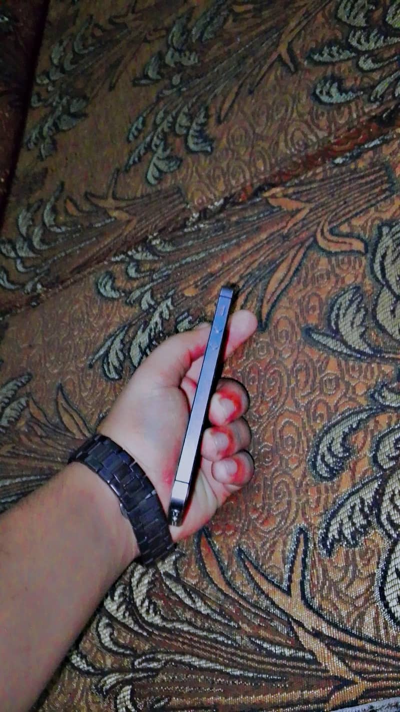 Apple iPhone 5s 2