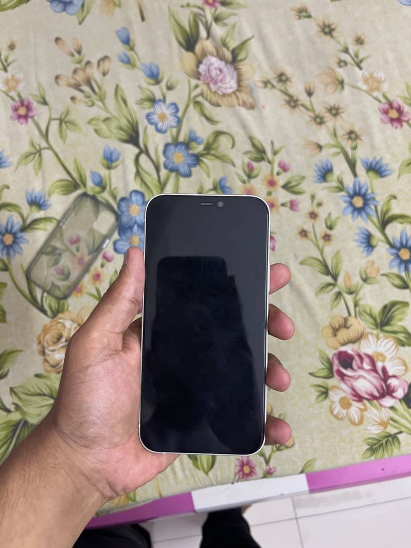 Apple iPhone 12 1
